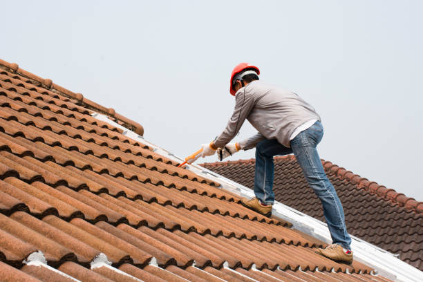 Best Roof Maintenance and Cleaning  in Estes Park, CO