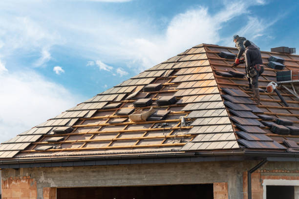 Best Storm Damage Roof Repair  in Estes Park, CO