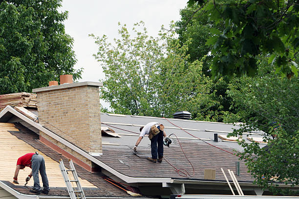 Best Roof Moss and Algae Removal  in Estes Park, CO